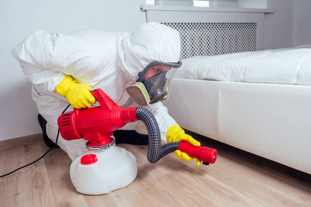 Best Local Pest Control Services  in Rapid Valley, SD
