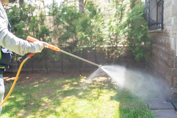 Best Affordable Pest Control Services  in Rapid Valley, SD