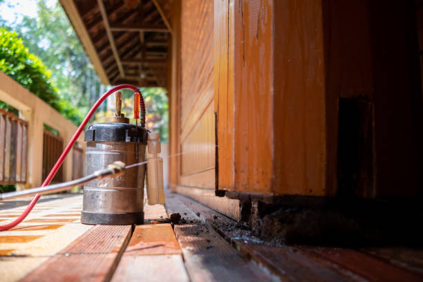 Best Termite Control Services  in Rapid Valley, SD