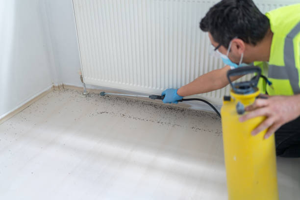 Best Pest Prevention Services  in Rapid Valley, SD