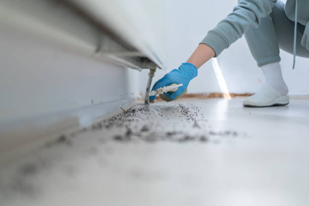 Insect Control in Rapid Valley, SD