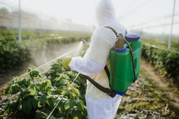 Best Residential Pest Control  in Rapid Valley, SD